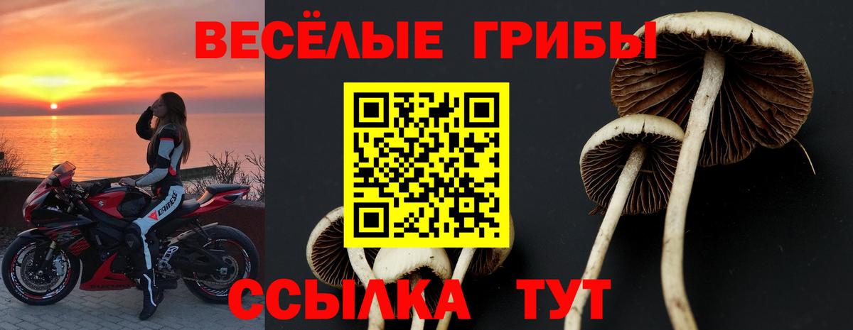 Псилоцибиновые грибы GOLDEN TEACHER Вичуга