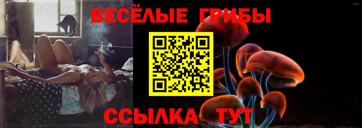 Вичуга  Галлюциногенные грибы мицелий  Вход с VPN 